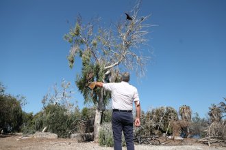 WhatsApp Image 2026-01-08 at 12.40.18.jpeg